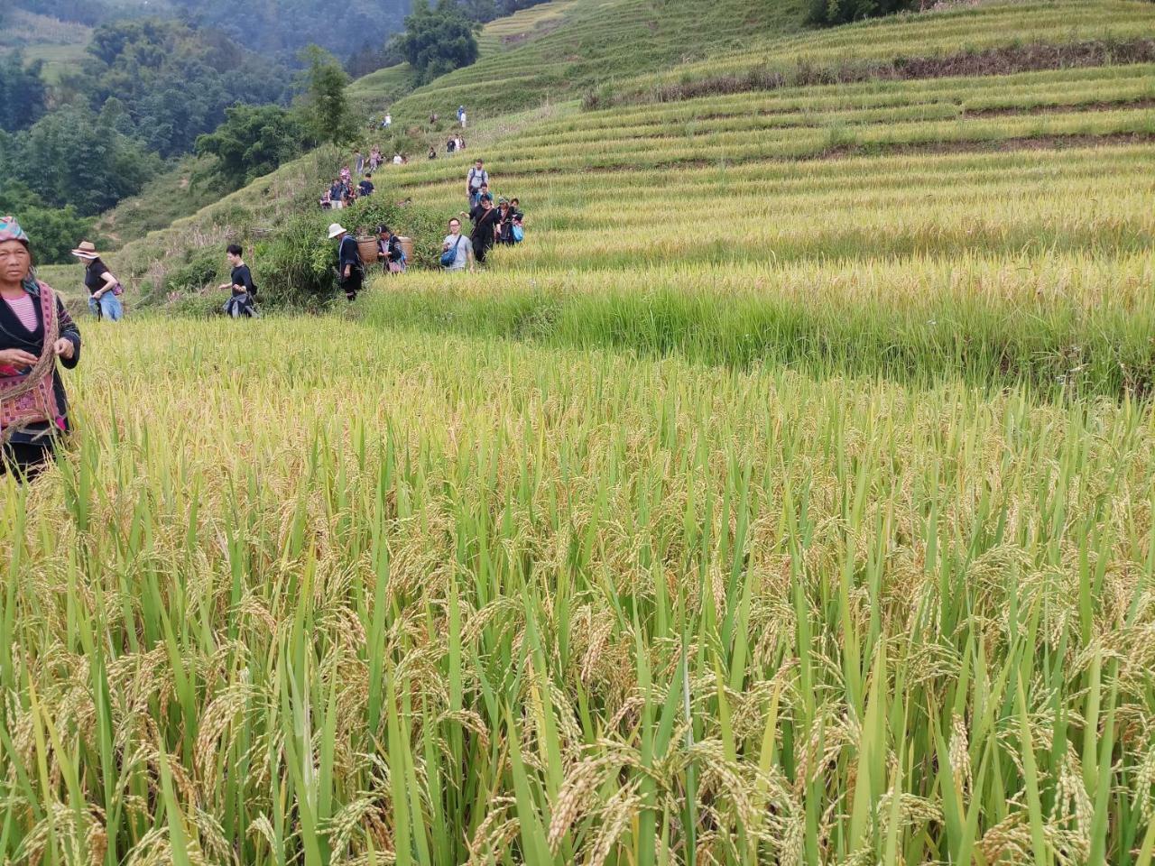 Tuongmai Home & Trekking Tour 사파 외부 사진